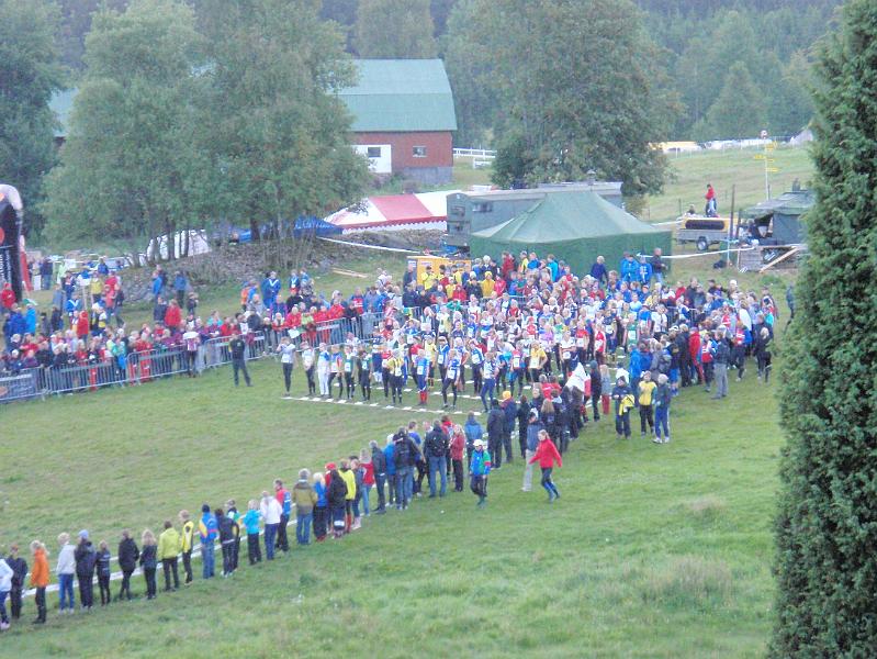 Ungi 2009 014.jpg